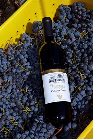 Crate of harvested Cabernet Franc grapes with bottle of wine Veramar Vineyard Berryville Virginia USA  Shenandoah Valley AVA