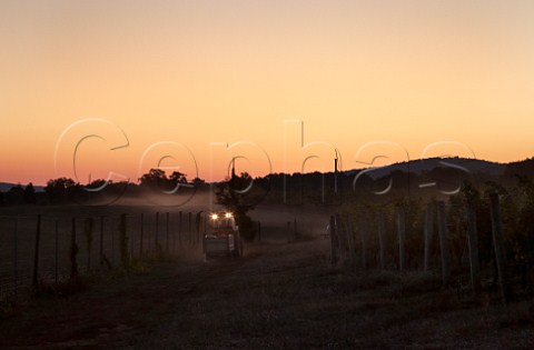 Tractor taking machineharvested Cabernet Franc grapes to the winery before sunrise   Barboursville Vineyards Barboursville Virginia USA  Monticello AVA