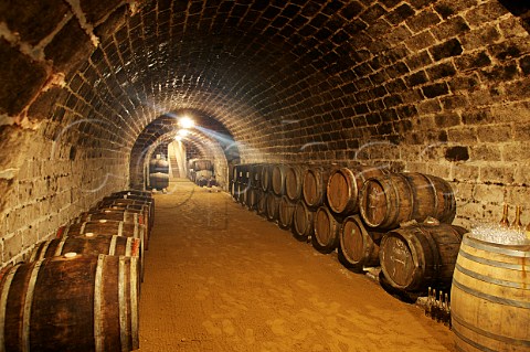 Barrel cellar of Tokaj Htszl Tokaj Hungary  Tokaji