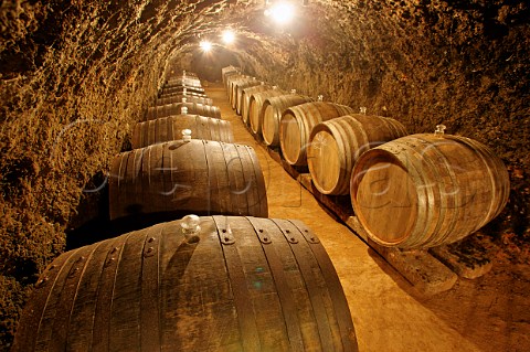Barrel cellar of Istvn Szepsy Md Hungary   Tokaj