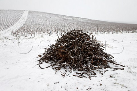 Pile of prunings by vineyard on the Montagne de Reims above Ay Marne France Champagne