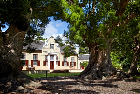 Vergelegen Manor House and the 300year old Camphor Trees which are National Monuments   Somerset West Western Cape South Africa  Stellenbosch