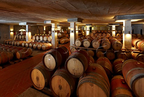 Barrel cellar of Steenberg Vineyards Constantia Western Cape South Africa Constantia