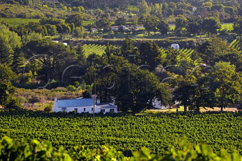 Houses in vineyards of Dornier Stellenbosch Western Cape South Africa  Stellenbosch
