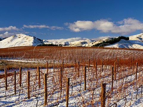 Snow on vineyard of Ballochdale Estate in the Upper Awatere Valley Marlborough New Zealand