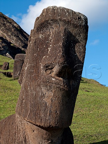 Moai head on slopes of Rano Raraku Easter Island