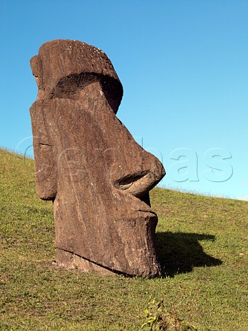 Moai buried up to the neck on the slopes of Rano Raraku Easter Island