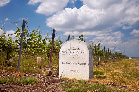 Marker stone by Pinot Meunier vines in Les Champs de Romont vineyard of Mot  Chandon Sillery Marne France   Champagne