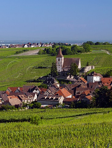 View over the Rosacker vineyard to the village of Hunawihr with Zellenberg in distance  HautRhin France  Alsace Grand Cru