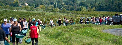Pickers arriving in vineyard of Chteau Faugres StEtiennedeLisse near Saintmilion Gironde France  Stmilion  Bordeaux