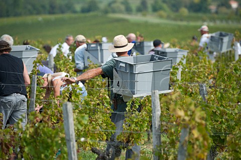 Pickers in vineyard of Chteau Faugres StEtiennedeLisse near Saintmilion Gironde France  Stmilion  Bordeaux