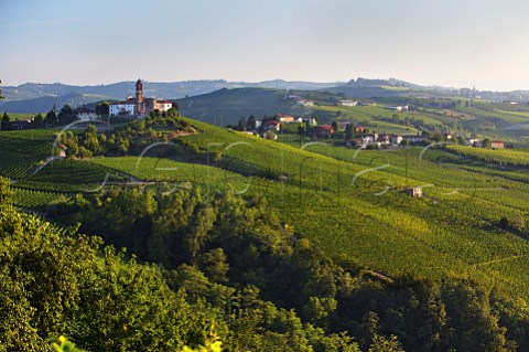 Vineyards above the Belbo Valley near Santo Stefano Belbo Piemonte Italy