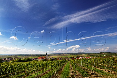 Vineyard above village of Rschitz Niedersterreich Austria   Weinviertel