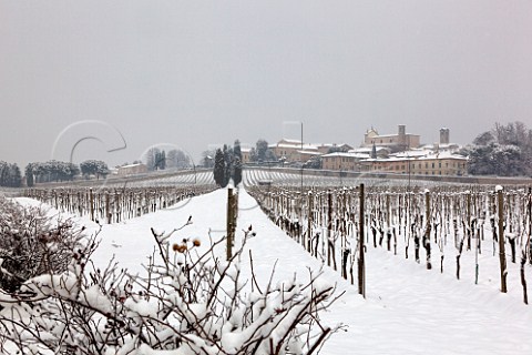 Snow covered vineyard of Bellavista behind Villa Lechi Erbusco Lombardy Italy Franciacorta