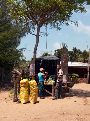 Roadside stall selling vegetables Ponta do Ouro southern Mozambique