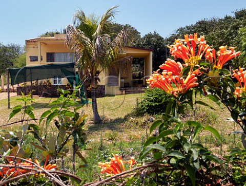 House and garden Ponta do Ouro southern Mozambique