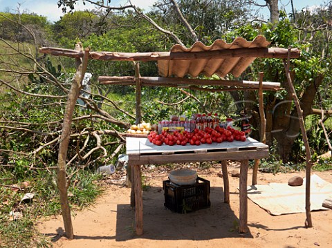 Roadside stall selling fruit and vegetables drinks etc Ponta do Ouro southern Mozambique
