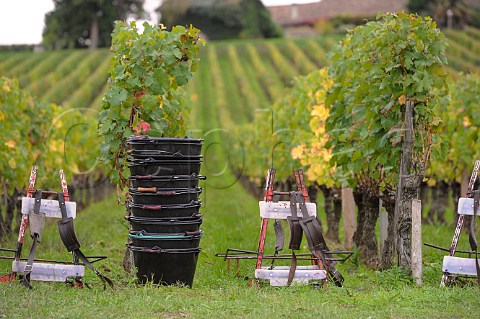 Harvest equipment in vineyard Stmilion Gironde France  Saintmilion  Bordeaux
