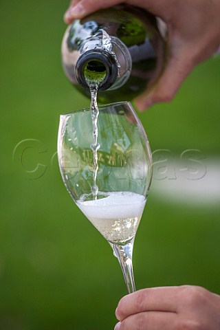Pouring a glass of Franciacorta Satn Lombardy Italy