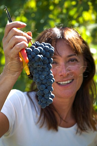 Chiara Boschis with Nebbiolo grapes in vineyard of E Pira E Figli Barolo Piemonte Italy Barolo
