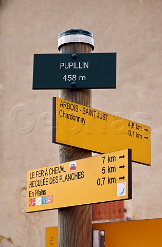 Signs in the wine village of Pupillin Near Arbois Jura France  ArboisPupillin