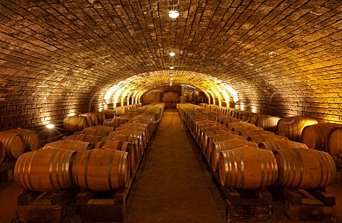 Barrels in cellar of Domaine de la Pinte Arbois Jura France