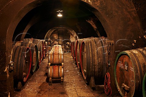 Barrels and foudres in cellar of Chteau dArlay Arlay Jura France  Ctes du Jura