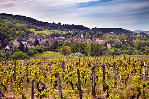 Vineyard above village of Passenans Jura France  Ctes du Jura