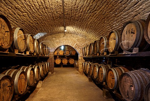 Vin Jaune cellar of Domaine BerthetBondet ChteauChalon Jura France
