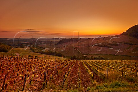 Sunset over vineyards between ChteauChalon and MentruleVignoble Jura France