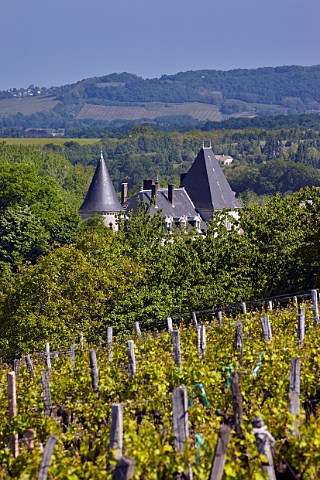 Vineyard and chteau at Lavigny Jura France Ctes du Jura