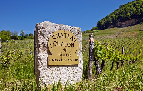 Marker stone in vineyard of the Fruitire Vinicole de Voiteur ChteauChalon Jura France  ChteauChalon