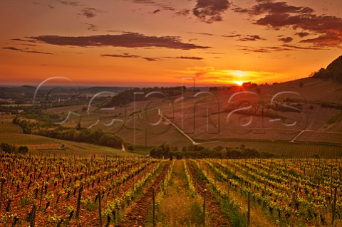 Sunset over vineyards between ChteauChalon and MentruleVignoble Jura France  ChteauChalon