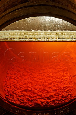 Yeast voile on 6year old Vin Jaune in a demonstration barrel  Domaine la Pinte Arbois Jura France