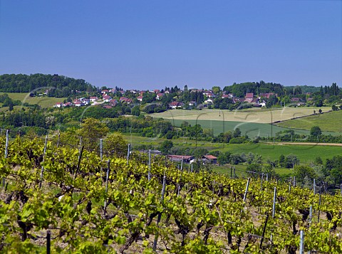 Vineyard near Le Vernois with Montain in distance Jura France Ctes du Jura
