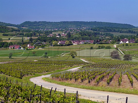 Vineyards near Le Vernois Jura France Ctes du Jura