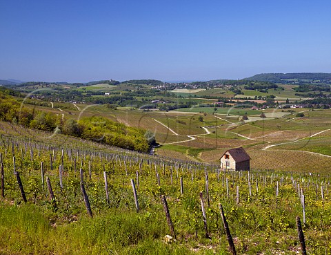 Vineyards with villages of Le Vernois and Montain in distance Jura France Ctes du Jura