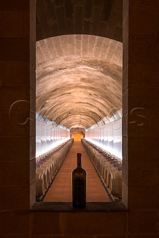 Barrel cellar of Petra winery Suvereto Tuscany Italy  Val di Cornia