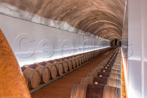 Barrel cellar of Petra winery Suvereto Tuscany Italy  Val di Cornia