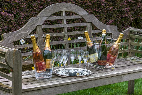 Bottles of Comtes de Dampierre champagne on a garden bench Chenay Marne France