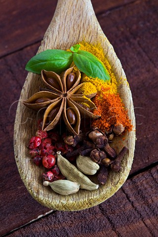 Spices in wooden spoon