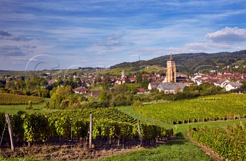 View over vineyards at En Paradis with the Church of StJust and Collegiate Church of NotreDame  Arbois Jura France