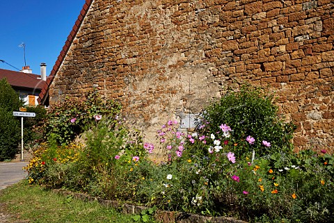 Flowers by wall of old building of Frdric Lornet part of the former Cistercian LAbbaye de Genne MontignylsArsures Jura France Arbois