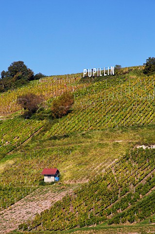 Sign above steep vineyards at Pupillin Jura France   ArboisPupillin