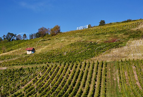 Sign above steep vineyards at Pupillin Jura France   ArboisPupillin