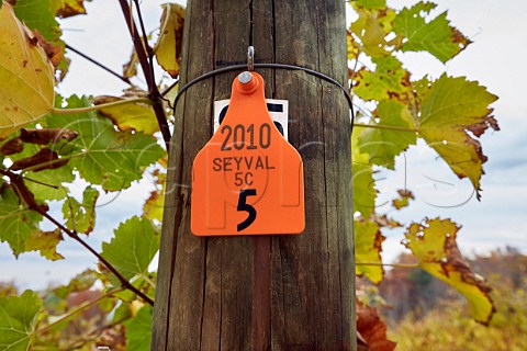 Strainer post in Seyval Blanc vineyard of Lovingston Winery Lovingston Virginia USA Monticello AVA