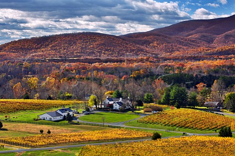 Autumnal vineyards and The Farmhouse of Veritas Winery with the Blue Ridge Mountains beyond Afton Virginia USA Monticello AVA