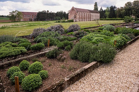 Herb garden of Abbaye de Cteaux SaintNicolaslesCteaux Cte dOr France