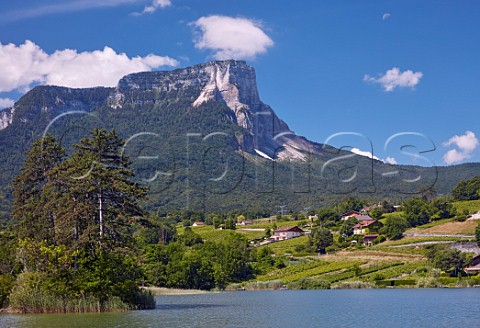 Vineyards around Lac StAndr with Mont Granier beyond  Les Marches Savoie France  Apremont