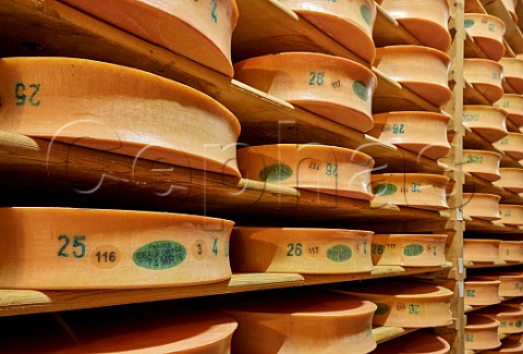 Beaufort cheese ageing at Monts et Terroirs cheese producers  La Bathie Savoie France